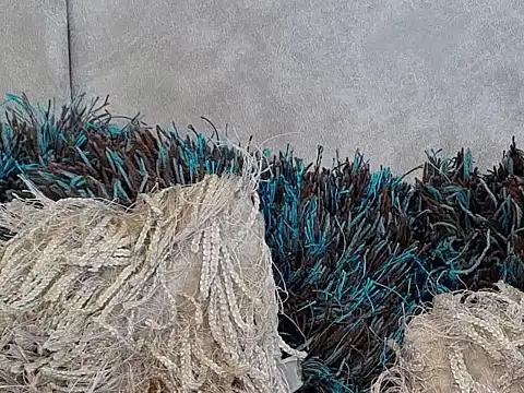 Snapshot of LannyShell chatting on 11-26-25, 05:25 LannyShell online show from 11-26-25, 05:25