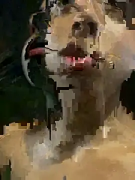 mara rosseX online show from 11-09-25, 06:33