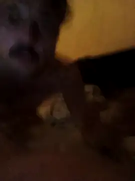 putosemlimiti online show from 11-08-25, 11:58