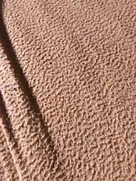 Snapshot of WillfulVideo chatting on 02-07-26, 08:07 WillfulVideo online show from 02-07-26, 08:07