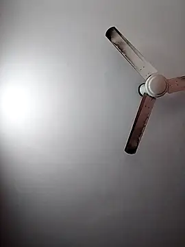 Snapshot of Keya-009 chatting on 03-01-26, 04:36 Keya-009 online show from 03-01-26, 04:36