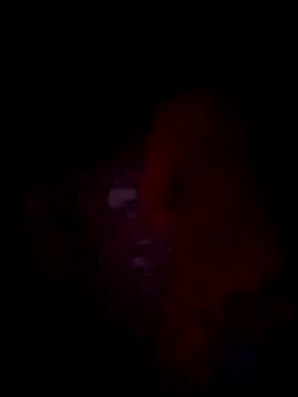 Snapshot of jacka_305 chatting on 11-22-25, 10:36 jacka 305 online show from 11-22-25, 10:36