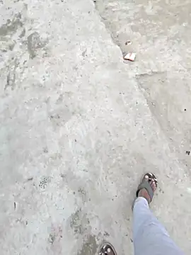 Pagalladka-89 online show from 12-01-25, 06:51