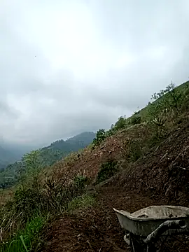 blonde blg online show from 03-24-26, 03:33