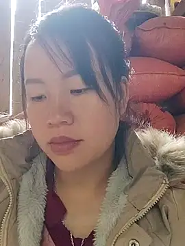 yelow-bee online show from 12-17-25, 01:00