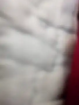 Tayanehot online show from 04-12-26, 10:31