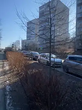 Snapshot of Dona_Mafia chatting on 12-22-25, 01:57 Dona Mafia online show from 12-22-25, 01:57