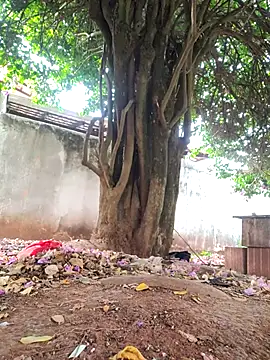 Snapshot of Lucasjandre chatting on 11-22-25, 10:14 Lucasjandre online show from 11-22-25, 10:14