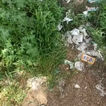 topman      online show from 04-19-26, 10:14