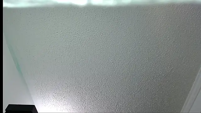 Snapshot of Little-rouse chatting on 11-30-25, 02:32 Little-rouse online show from 11-30-25, 02:32