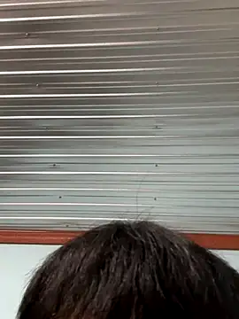 MEFUN- online show from 12-16-25, 11:59