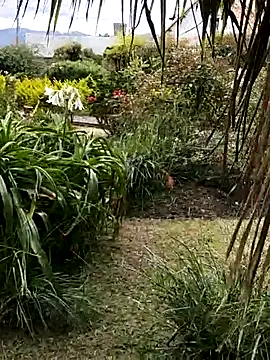 Snapshot of LilyMature_x chatting on 11-27-25, 09:06 LilyMature x online show from 11-27-25, 09:06