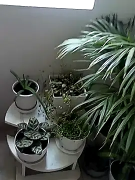 Rouse hot  online show from 01-10-26, 06:09