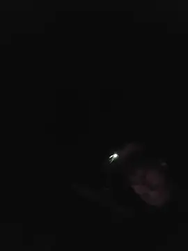 Redheadstud online show from 07-02-26, 02:55