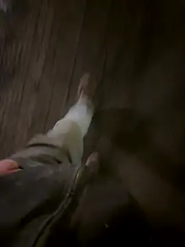 Phil-jae online show from 11-21-25, 07:18