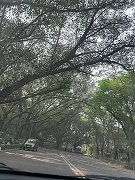 sexyayeshadesi online show from 11-20-25, 05:29