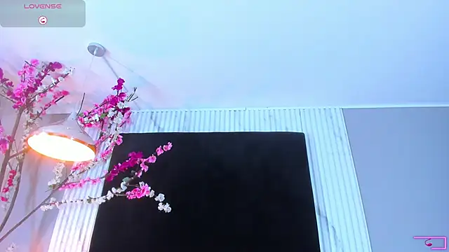 arya alaya cr online show from 11-24-25, 11:54