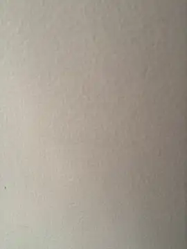 Snapshot of CandyCol chatting on 11-25-25, 12:16 CandyCol online show from 11-25-25, 12:16