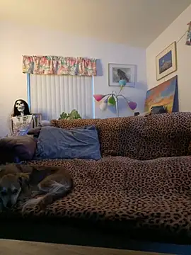 Snapshot of tsashelayamylynzy chatting on 11-18-25, 12:38 tsashelayamylynzy online show from 11-18-25, 12:38