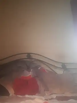 Snapshot of Shivona chatting on 11-28-25, 03:53 Shivona online show from 11-28-25, 03:53