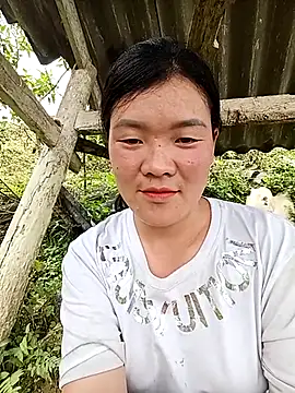 Snapshot of meomeo-00 chatting on 02-20-26, 04:42 meomeo-00 online show from 02-20-26, 04:42