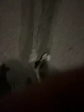 Snapshot of Pumxxxx chatting on 11-30-25, 04:16 Pumxxxx online show from 11-30-25, 04:16