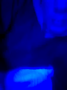 FrappedLocking online show from 05-22-26, 08:42