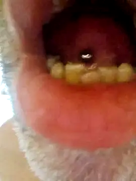 Snapshot of CDY74 chatting on 11-28-25, 02:42 CDY74 online show from 11-28-25, 02:42