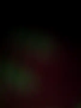 Snapshot of Nandani-758 chatting on 12-18-25, 12:00 Nandani-758 online show from 12-18-25, 12:00