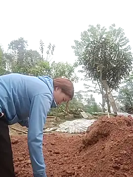 nangmo online show from 03-12-26, 07:47