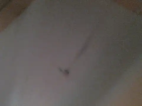 BellahG90 online show from 11-22-25, 01:54