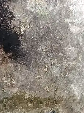 Snapshot of lynae-0 chatting on 12-15-25, 05:12 lynae-0 online show from 12-15-25, 05:12