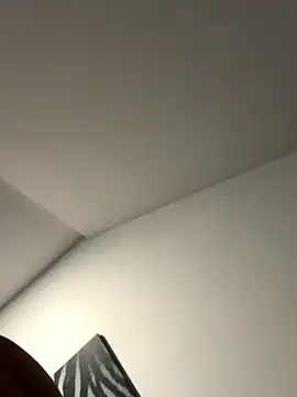 Snapshot of Dig_Bick44 chatting on 11-29-25, 09:07 Dig Bick44 online show from 11-29-25, 09:07