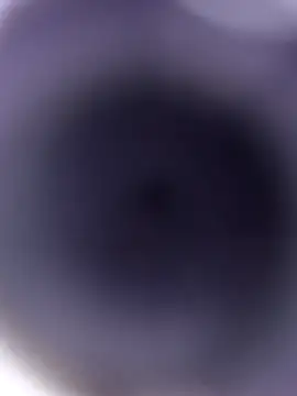 rara0728 online show from 12-14-25, 10:03