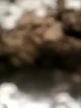 sexygosht online show from 04-18-26, 10:52