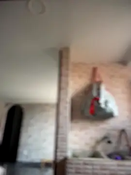 Snapshot of -Nala chatting on 12-02-25, 12:10 -Nala online show from 12-02-25, 12:10