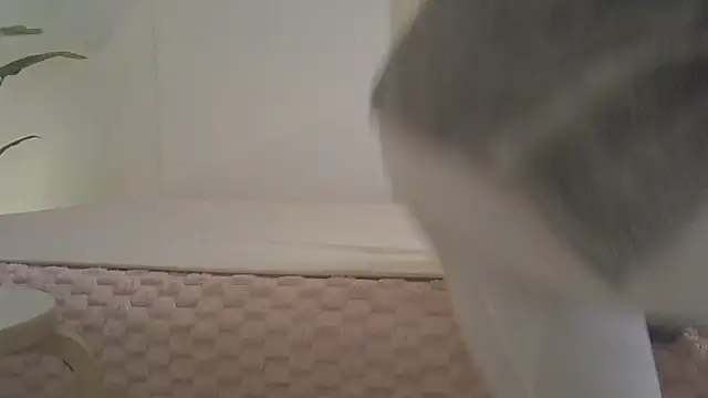 kyono-iyashi online show from 03-08-26, 02:43