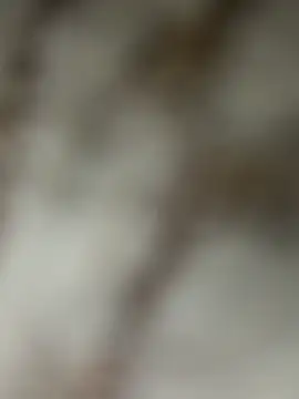 Snapshot of Chrisd3195 chatting on 02-22-26, 06:02 Chrisd3195 online show from 02-22-26, 06:02