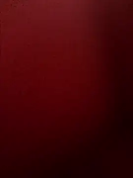 Snapshot of chriss13fc chatting on 04-29-26, 09:02 chriss13fc online show from 04-29-26, 09:02