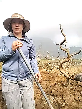 Alibabapi online show from 03-25-26, 02:17