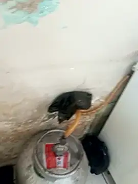 Snapshot of _-_putinha_- chatting on 12-17-25, 03:18 - putinha - online show from 12-17-25, 03:18