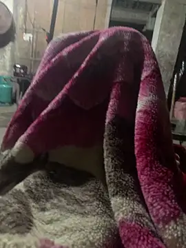 Snapshot of anh-soi123 chatting on 03-11-26, 05:41 anh-soi123 online show from 03-11-26, 05:41