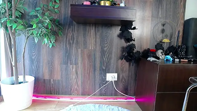 RavenFoxxy online show from 02-12-26, 06:52