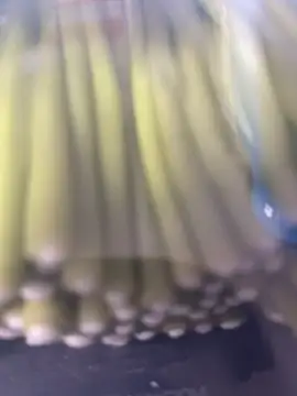 Ghost-Zero online show from 03-21-26, 11:59