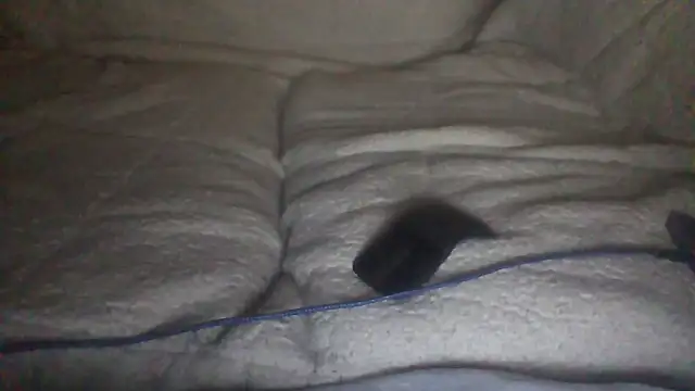 Snapshot of moneymaker50 chatting on 12-02-25, 04:51 moneymaker50 online show from 12-02-25, 04:51