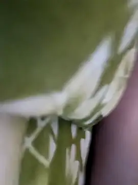 Aalam 0890 online show from 12-15-25, 11:03