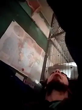 Snapshot of bigjohnson2914 chatting on 03-24-26, 01:05 bigjohnson2914 online show from 03-24-26, 01:05