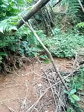 Snapshot of ava-dellght chatting on 01-17-26, 02:38 ava-dellght online show from 01-17-26, 02:38