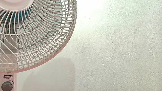 Elizabetth Roman online show from 04-22-26, 08:32