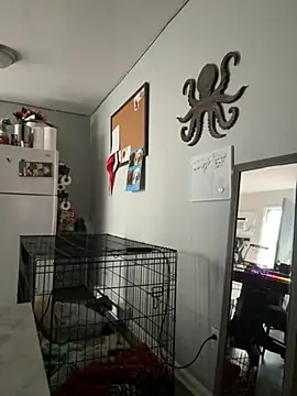 alluringpixie online show from 03-22-26, 02:09